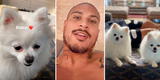 Paolo Guerrero muestra a sus perritos en Instagram y cautiva a hinchas [FOTO]