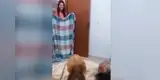 Traviesos perros piensan que su dueña no está y protagonizan inesperado combate [VIDEO]