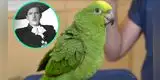 Loro sorprende a todos al cantar ‘Cielito lindo’ de Pedro Infante [VIDEO]