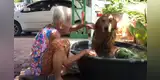 Abuelita baña a su perro mientras le narra cuentos y escena conmueve en YouTube [VIDEO]