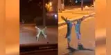 Dos liebres protagonizan una feroz pelea y video se vuelve viral [VIDEO]