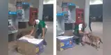 Hombre tiene noble gesto con perrito que fue abandonado y conmueve a miles en las redes [VIDEO]