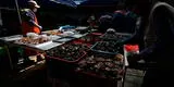 Día de San Pedro y San Pablo: Crece la venta de pescado en el terminal del Callao