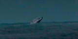 Chorrillos: ballenas son vistas jugando en la playa La Encantada de Villa [VIDEO]