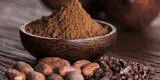 Día Mundial del Cacao: Conoce sus beneficios para detener el envejecimiento