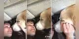 Joven graba por última vez a su perro con cáncer terminal y protagonizan conmovedora escena [VIDEO]