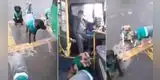 Línea de transporte 'contrata' a perros sin hogar durante la pandemia [VIDEO]