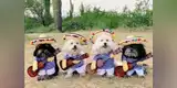 Perritos son disfrazados de mariachis y se vuelven ‘famosos’ en TikTok [VIDEO]