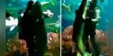 Hombre se sumerge en el agua para bailar con un tiburón y es viral [VIDEO]