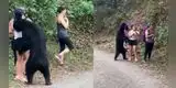 Jóvenes son sorprendidas por un oso y una aprovecha para tomarse un selfie [VIDEO]