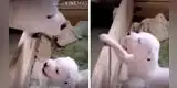 Cachorrito se enfrenta a su madre y el momento se vuelve viral [VIDEO]