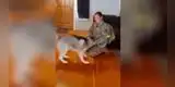 Perritos se encuentran luego de 8 meses con su dueña y reacción conmueve [VIDEO]