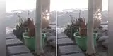 Perro aprovecha el descuido de una familia y se mete a su tina de agua para refrescarse [VIDEO]