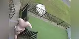 Pensó que iban a secuestrar a su sobrina y sale desnudo a rescatarla [VIDEO]