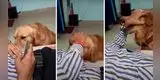 Su dueño no le prestaba atención y el perrito decidió hacer algo al respecto [VIDEO]