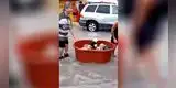 Familia se vuelve viral por rescatar a perros a pesar de haberlo perdido todo [VIDEO]