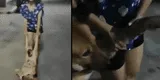 Perrito se resiste a regresar a su casa y protagoniza curioso 'berrinche' [VIDEO]