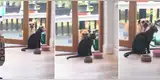 Travieso gato no deja entrar a su ‘amigo’ a la casa y lo deja en ridículo frente a su dueño [VIDEO]