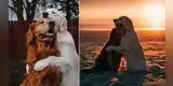 Instagram: Perrito da tierno abrazo a su amigo amputado por el cáncer [VIDEO]