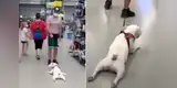 Cachorro se rehúsa a irse de un supermercado y le hace cómico 'berrinche' a su dueño [VIDEO]