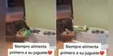 Perro comparte su comida con su peluche y escena enternece a miles en TikTok [VIDEO]