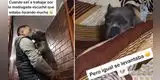 Perrita tiene conmovedora reacción para evitar que su dueño salga a trabajar de madrugada [VIDEO]