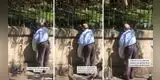 Abuelito alimenta a gatitos sin hogar y protagonizan tierna escena en TikTok [VIDEO]
