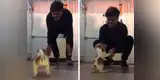 Joven intenta realizar reto de baile en TikTok y su perro termina robándose el show [VIDEO]