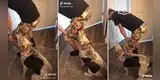 TikTok viral: Perro es sorprendido bailando reggaetón junto a su dueño y su estilo sorprende a miles [VIDEO]
