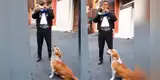 Perrito se une al canto de unos mariachis y protagoniza particular 'presentación' [VIDEO]