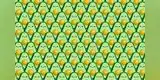 Reto visual: ¿Puedes encontrar a las paltas sin pepa que están escondidos? [FOTO]