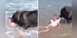 Perro jala a una niña hasta la orilla para que no se la lleven las olas y escena se vuelve viral [VIDEO]