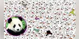 ¿Puedes hallar el oso panda escondido? El reto visual que pocos pueden resolver  [FOTO]