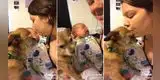 Perro se pone celoso del bebé de su dueña y le 'exige' que también lo bese como a él [VIDEO]