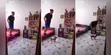 Joven intenta hacer reto viral de TikTok y termina 'aplastando' a su chihuahua [VIDEO]