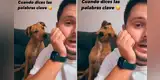 Perro tiene cómica reacción cuando oye a su dueño decir “vamos a la calle” [VIDEO]