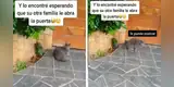 Joven sigue a su gato a escondidas y descubre que tiene otra familia [VIDEO]