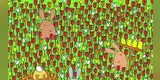 ¿Logras ver el huevo de Pascua escondido entre los tulipanes? El nuevo reto viral que nadie supera [FOTOS]