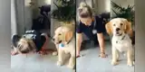 Perrito realiza planchas al lado de su dueña y tierna escena se vuelve viral [VIDEO]