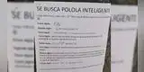 “Busco novia inteligente”: joven genera polémica en redes al buscar pareja con ejercicios matemáticos