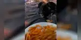 Gatito ‘hambriento’ intenta robarle unas papas fritas a su dueña [VIDEO]