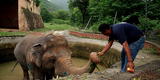 Rescatan a “elefante más solitario del mundo” tras permanecer 35 años en un zoológico [VIDEO]