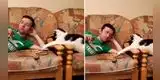 Gato trata de robar un trozo de pizza, pero su dueño lo descubre con las 'patas en la masa' [VIDEO]