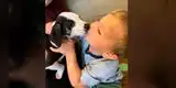 Perrito con labio leporino adoptado por un niño con la misma afección conmueve Facebook [FOTO]