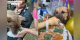 Rescatan a perros abandonados en las calles y les realizan conmovedora fiesta de bienvenida [VIDEO]