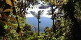 Conoce las 8 regiones naturales del Perú: Yunga, su flora y fauna