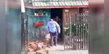 Perrito vio que su dueño necesitaba ayuda para cargar un trozo de madera y tuvo tierno gesto [VIDEO]