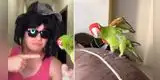 Loro y su dueño protagonizan divertida parodia de la canción 'Yasuri Yamileth' [VIDEO]