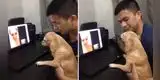 Perrito 'llora' en videollamada al ver a su dueña después de mucho tiempo [VIDEO]