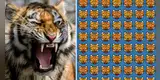 Reto visual: ¿Puedes hallar cuatro tigres enojados en la imagen en menos de un minuto? [FOTOS]
